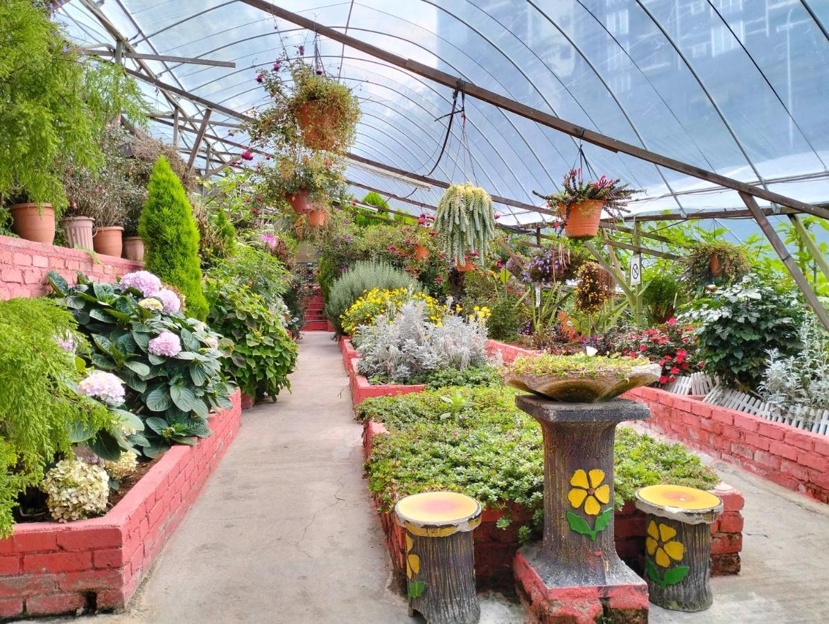 Mag Homestay At Crown Imperial Court, Brinchang Cameron Highlands Extérieur photo