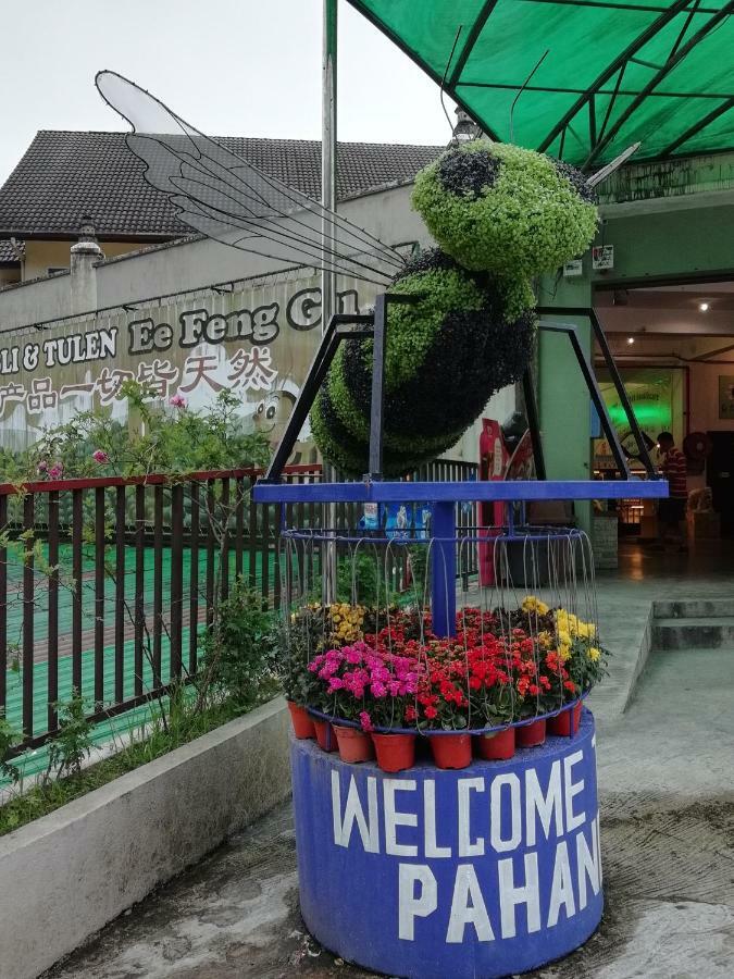 Mag Homestay At Crown Imperial Court, Brinchang Cameron Highlands Extérieur photo