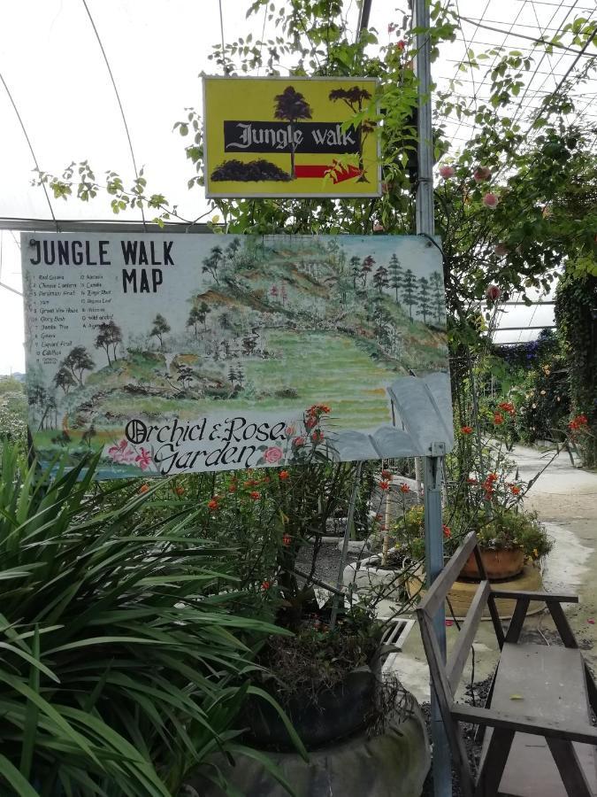 Mag Homestay At Crown Imperial Court, Brinchang Cameron Highlands Extérieur photo
